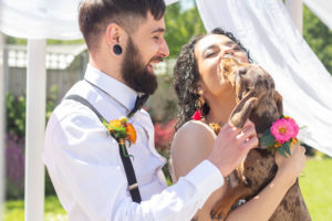 Dog Friendly Weddings at Applewood Hall