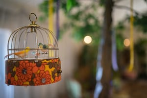 Bird Cages and Canopy Trees at Applewood Hall